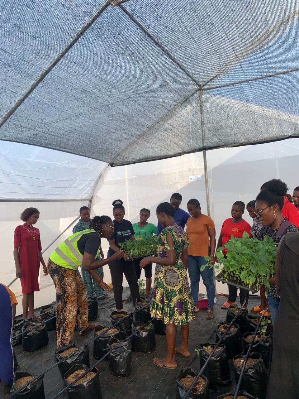 Women and youth trainees learning greenhouse operations during EWAS bootcamp